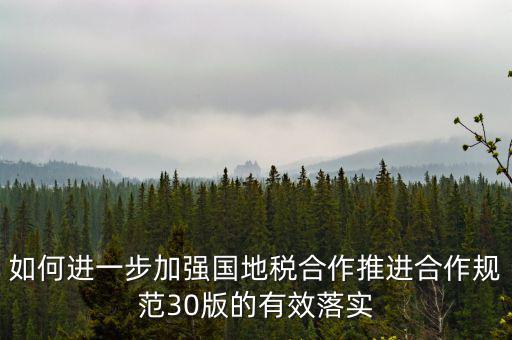 2018年國(guó)地稅合作大廳如何工作，地稅信息中心具體做些什么工作