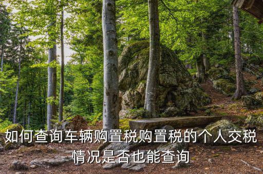 如何查汽車購置稅，我想查查我的車輛購置稅是多少怎么查