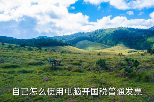 在國稅如何申請電子發(fā)票，怎麼申辦開具電子發(fā)票