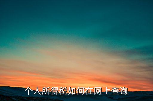 天津如何查個人所得稅，個人所得稅如何在網(wǎng)上查詢