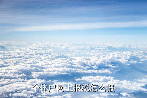 個(gè)體網(wǎng)上如何申報(bào)，個(gè)體戶(hù)網(wǎng)上申報(bào)流程