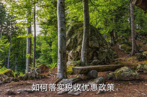 地稅部門(mén)如何落實(shí)稅收優(yōu)惠政策，免稅政策如何落實(shí)