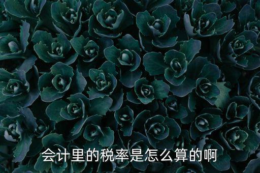 簡(jiǎn)易征收稅率如何計(jì)算方法，增值稅簡(jiǎn)易計(jì)稅方法計(jì)算公式是什么 會(huì)計(jì)問(wèn)答網(wǎng)