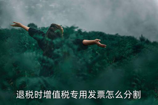 申報退稅如何分批，同一個退稅申報期內(nèi)可以申報2個批次嗎