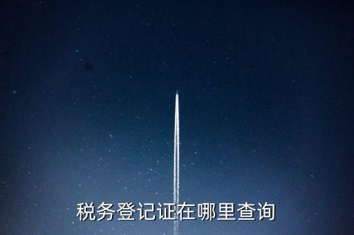 稅務(wù)登記證在哪里查詢(xún)