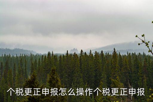 福建個人所得稅如何申報更正，個稅申報錯了如何更正