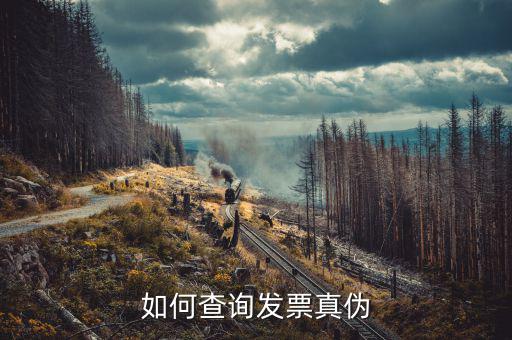 如何查北京的發(fā)票真?zhèn)?，北京電子發(fā)票真?zhèn)尾樵?/></a></span><span id=
