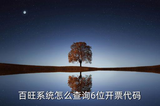 如何獲取開票代碼，增值稅專用發(fā)票開票時輸開票碼是怎么操作