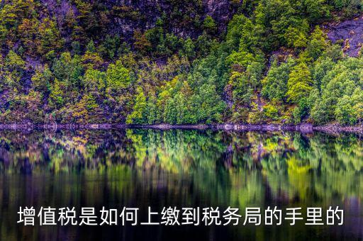 如何在稅務(wù)大廳納稅繳納稅款，在稅務(wù)大廳怎么繳納已申報稅款