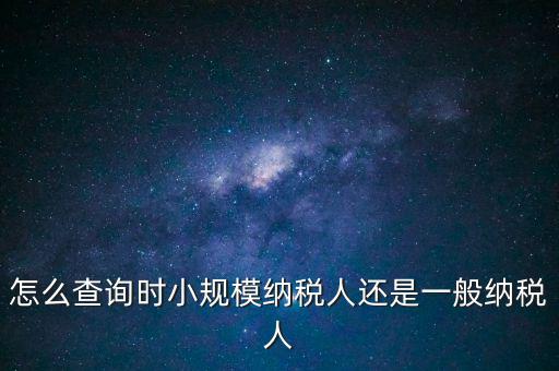 電子稅務(wù)局如何查看正常戶，怎么查詢時小規(guī)模納稅人還是一般納稅人