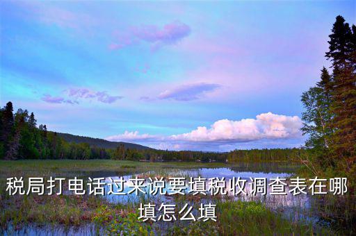 涉稅事項調(diào)查表如何填寫，09全國稅收調(diào)查表如何填寫