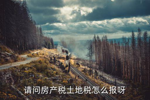 地稅局房產(chǎn)稅如何申報，企業(yè)何如申報房產(chǎn)稅