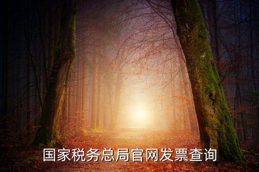 江蘇國稅如何查詢發(fā)票，江蘇發(fā)票真?zhèn)尾樵內(nèi)绾尾樵兘K發(fā)票真?zhèn)尾樵內(nèi)绾尾樵冏钪匾氖沁M