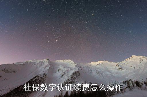 數(shù)字證書如何續(xù)費(fèi)，社保和公積金的數(shù)字證書到期怎么續(xù)費(fèi)啊