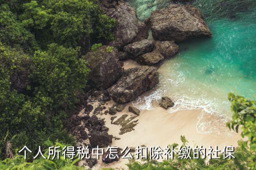 補繳社保如何扣個稅，補繳社保能否在申報個稅時扣除