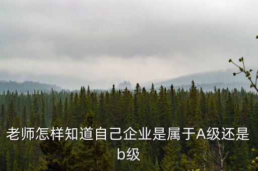 企業(yè)級(jí)別如何查，企業(yè)資質(zhì)等級(jí)怎樣查