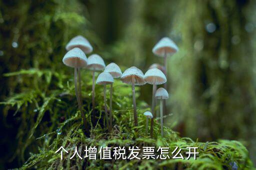 個(gè)人如何開(kāi)增值稅普票，開(kāi)增值稅普通發(fā)票個(gè)人怎么開(kāi)