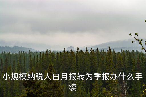 小規(guī)模附加稅如何改成按季申報(bào)，小規(guī)模納稅人增值稅按月申報(bào)可以改為按季度申報(bào)嗎