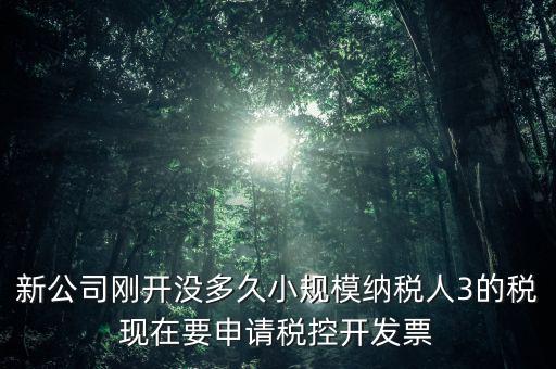 如何申請稅控和發(fā)票，怎樣申請發(fā)票和裝稅控