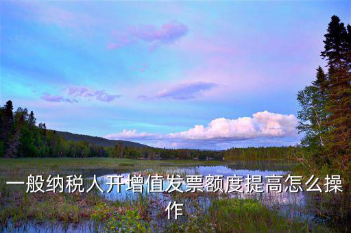 如何提高開票限額申請(qǐng)，一般納稅人開增值發(fā)票額度提高怎么操作