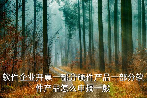 軟件企業(yè)如何報稅，軟件企業(yè)開票一部分硬件產(chǎn)品一部分軟件產(chǎn)品怎么申報一般