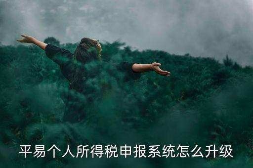 個(gè)稅如何在線升級(jí)，個(gè)稅系統(tǒng)的版本號(hào)V12146如何升級(jí)V12159