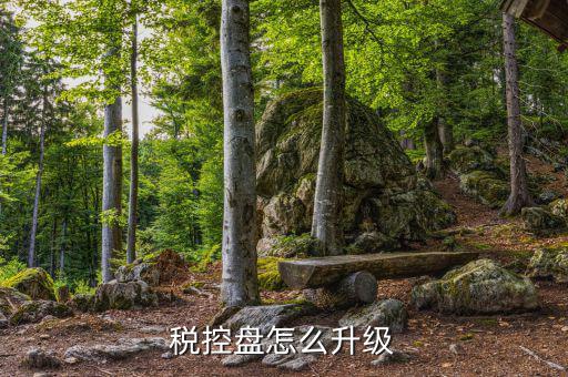 個人所得稅軟件如何升級，軟件怎樣升級