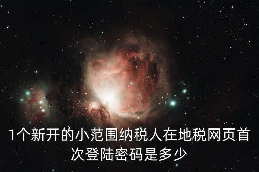 地稅ca如何登錄密碼是多少錢，1個新開的小范圍納稅人在地稅網(wǎng)頁首次登陸密碼是多少