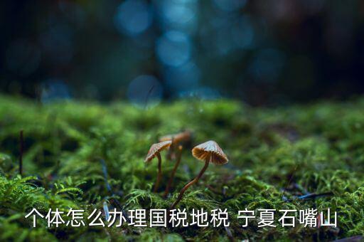 如何進(jìn)行網(wǎng)上稅務(wù)申報(bào)寧夏，寧夏中稅電子申報(bào)系統(tǒng)的報(bào)表時(shí)間如何修改 是CTRL神馬來(lái)的