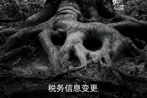 地稅如何變更人員信息查詢，浙江地稅開票軟件開票人怎么更改