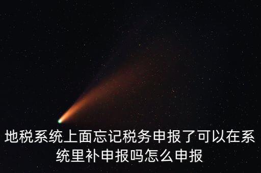 地稅如何補充申報表，地稅系統(tǒng)上面忘記稅務申報了可以在系統(tǒng)里補申報嗎怎么申報