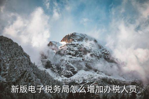 深圳稅局如何增加辦稅員，電子稅務(wù)局如何添加辦稅人員