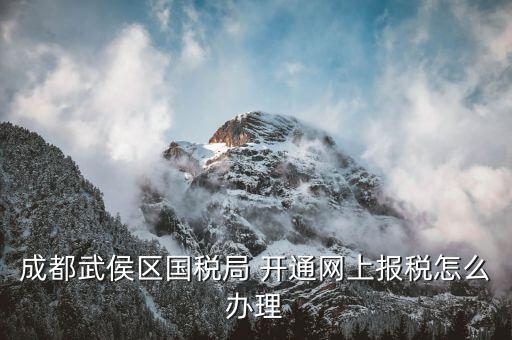 成都個(gè)體如何申報(bào)國(guó)稅，個(gè)體戶如何申報(bào)國(guó)稅和地稅
