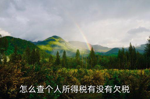 個人企業(yè)如何查欠稅啊，個體工商戶怎么查詢是否欠稅