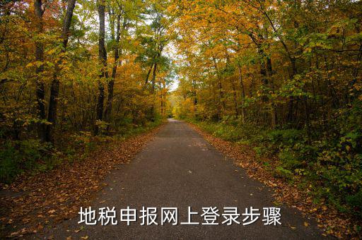 廣西國稅地稅如何網上申報，稅務申報如何網上申報