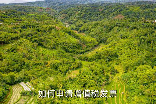 增值稅卷式發(fā)票如何申，新開(kāi)公司如何申請(qǐng)?jiān)鲋刀惏l(fā)票