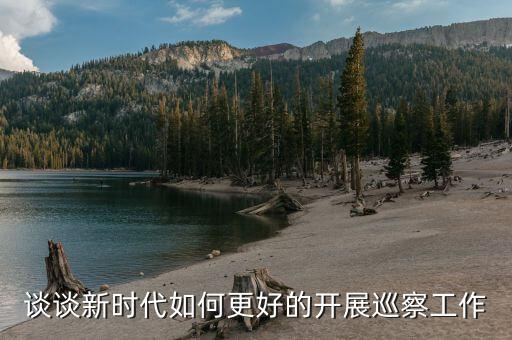 如何做好稅務(wù)系統(tǒng)巡視巡察工作，談?wù)勑聲r(shí)代如何更好的開(kāi)展巡察工作