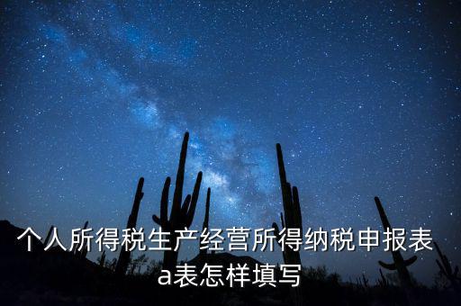 個(gè)人經(jīng)營所得申報(bào)表a表如何填，個(gè)人所得稅經(jīng)營所得稅申報(bào)表a表怎么填