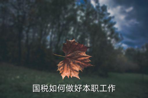 如何做好2018年的國稅工作，如何做好新形勢(shì)下的國稅工作