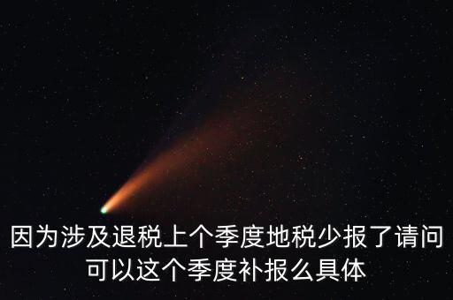 地稅如何補充申報，因為涉及退稅上個季度地稅少報了請問可以這個季度補報么具體