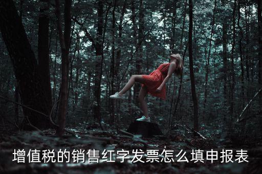 紅字開(kāi)票金額如何填寫增值稅申報(bào)表，紅字發(fā)票如何填寫增值稅報(bào)表二