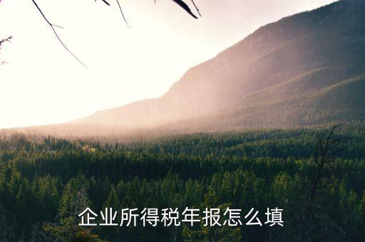 如何填寫企業(yè)所得稅年報(bào)，企業(yè)所得稅年報(bào)怎么填