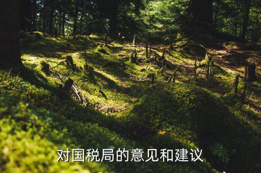 如何給稅務部門改革提建議，關(guān)于進一步深化稅收征管改革的意見的工作建議