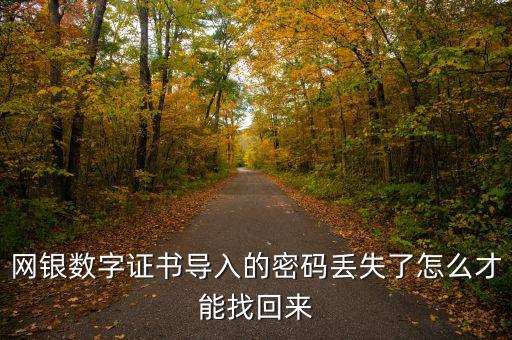 數(shù)字證書密碼錯(cuò)誤如何找回，營業(yè)執(zhí)照數(shù)字證書密碼忘記了 怎么辦
