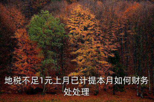 財務處如何落實數(shù)據(jù)地稅，地稅不足1元上月已計提本月如何財務處處理