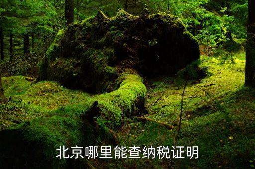 北京企業(yè)如何查詢稅務(wù)信息查詢，北京哪里能查納稅證明