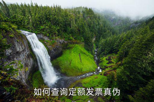 手機定額發(fā)票如何查真假，手機怎么查詢發(fā)票真?zhèn)?/></a></span><span id=