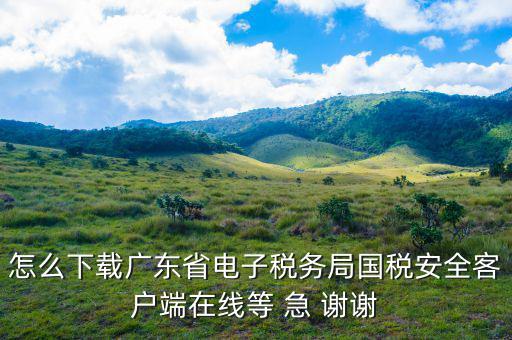 廣州電子稅務(wù)局如何登陸，怎么下載廣東省電子稅務(wù)局國(guó)稅安全客戶端在線等 急 謝謝