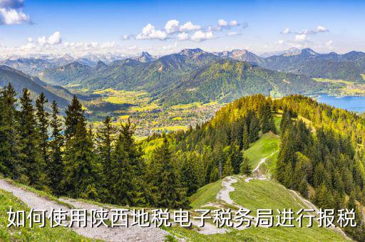 陜西地稅國稅網上如何申報，如何使用陜西地稅電子稅務局進行報稅