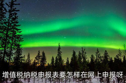增值稅網(wǎng)上如何申報系統(tǒng)，增值稅納稅申報表要怎樣在網(wǎng)上申報呀